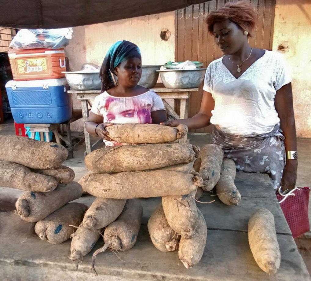voyage solidaire benin