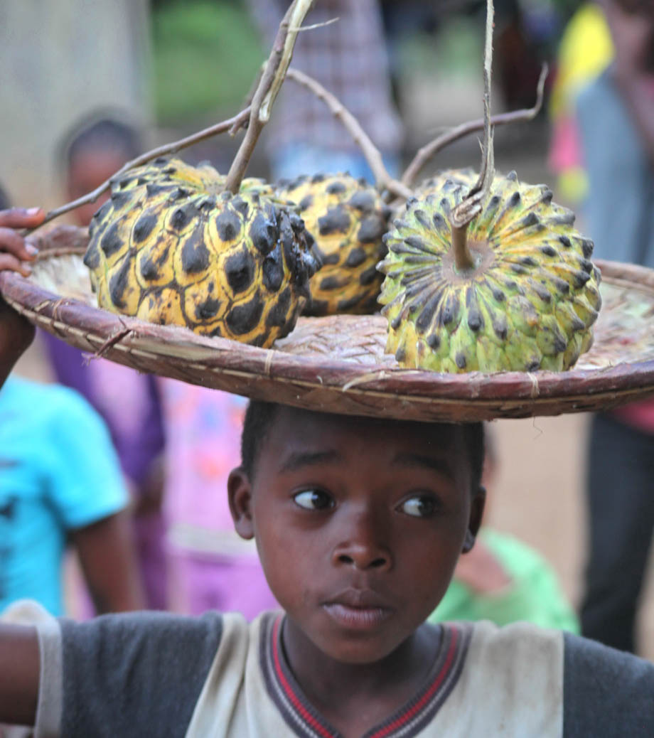 voyage en immersion association a madagascar