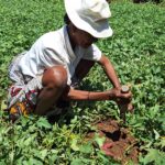 Madagascar voyage solidaire